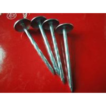 Hot dipped galvanized Roofing Nail