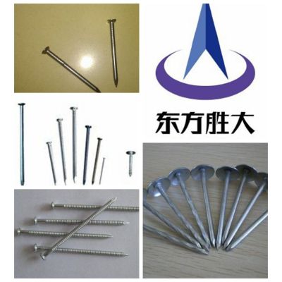 Bright or Electric Galvanized steel Nails