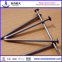 common steel nail