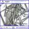 galvanized common nails manufacturer in china