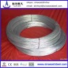 0.81mm Electro/Hot Dipped Galvanized Steel Wire Factory