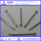 polished common nail all size Factory