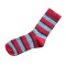 Red color striped wool socks