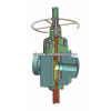 HOT!!! API Oilfield FC/HYD gate valve