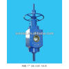 HOT!!! API Oilfield BG-23 pressure balance screw rod gate valve