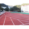 EPDM Granule for running track