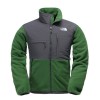 wholesale  the north face Denali jackets,