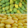 Professional supplier Mango Banana ripener