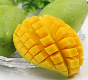 Using of mango ripener
