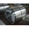 Galvanized steel coil regular spangle