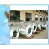 supply the galvanized steel coil
