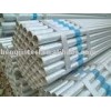 sell the galvanized steel pipe/tube