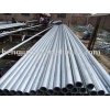 sell HDG steel pipe and tube/GI tube