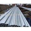 galvanized pipes(HDG)
