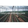 Galvanized Steel Pipe for greenhouse