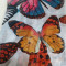 Lady's Thin Scarf With Big Butterfly Print Pattern