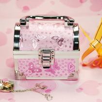 Pink Lady's Makeup Bag
