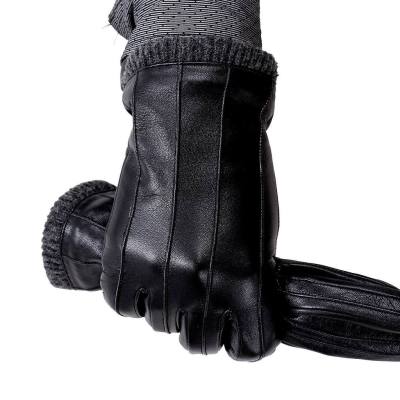 Free Shipping Warm Winter Essential Thickened Cashmere Leather Gloves