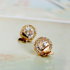 [ Free Shipping]  Jewelry Wholesale New Hot Butterflies Florid Diamond Noble Zircon Female Earrings