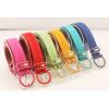 Fashion And Casual Ladies Pigskin Belt Wholesale And Retail