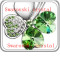 [Free shipping]Happiness Clover lot of love gradient color necklace diamond super flash four-color optional