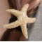 European And American Animal Biological Starfish Hair Rope