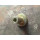 Magnet For Plastic Tube