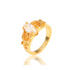 J0549 18K gold plated copper beautiful zircon ring