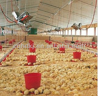 Energy saving gas poultry heating equipment
