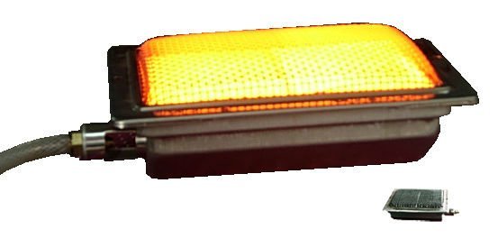 Professional natural gas bbq grill (HD220)
