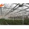 Green House Pre-Galvanized Round Structure Steel Pipe