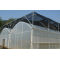 galvanized steel tubes greenhouse