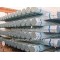 ASTM A53 hot-dipped galvanized steel pipe