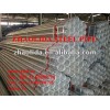 Prime ASTM A53 8" Hot Dipped Galvanized Threaded Steel Pipe