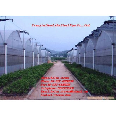 ROUND GALVANIZED STEEL PIPE FOR GREENHOUSE