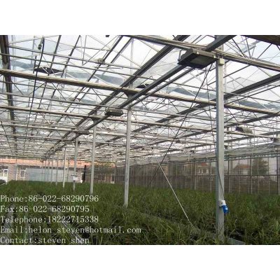 Hot-dipped galvanized steel pipe green house pipe