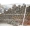 lsaw erw spiral welded steel pipe