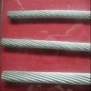 Good Quality Hot Dipped Galvanized Steel Strand Wire