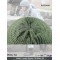 Wool/Nylon Olive  hat