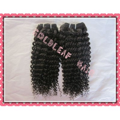 Wholesale Kinky Curly Naturl Color 100% Brazilian Virgin Human Hair Weave Bundles
