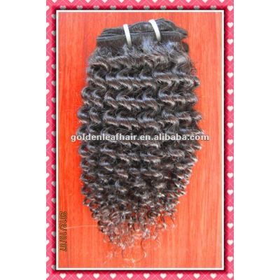 factory cheap wholesale virgin kinky curly Brazilian human hair