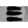 Factory Price Virgin indian remy hair wholesale