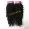 Wholesale cheaper 100% queen virgin Brazilian curly hair factory price