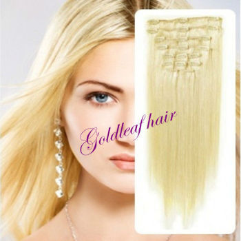 2013! Best Selling cheaper 100 human hair clips in hair extensions factory price