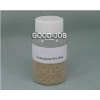 Acetamiprid 70% Wdg 135410-20-7 larvae broad spectrum Pesticides Chemical Insecticide