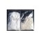 Acephate 30560-19-1 organophosphorous acaricide, Chemical Insecticide