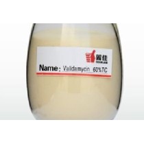 Validamycin non systemic rhizoctonia solani Natural Plant Fungicide 37248-47-8