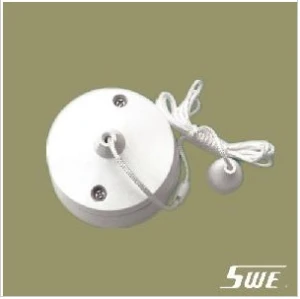 Pull Switch 10A 250V (V Range)