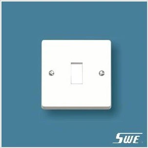 Intermediate Switch (W Range)