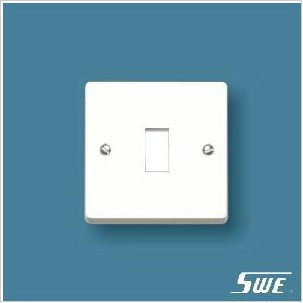 Intermediate Switch (W Range)